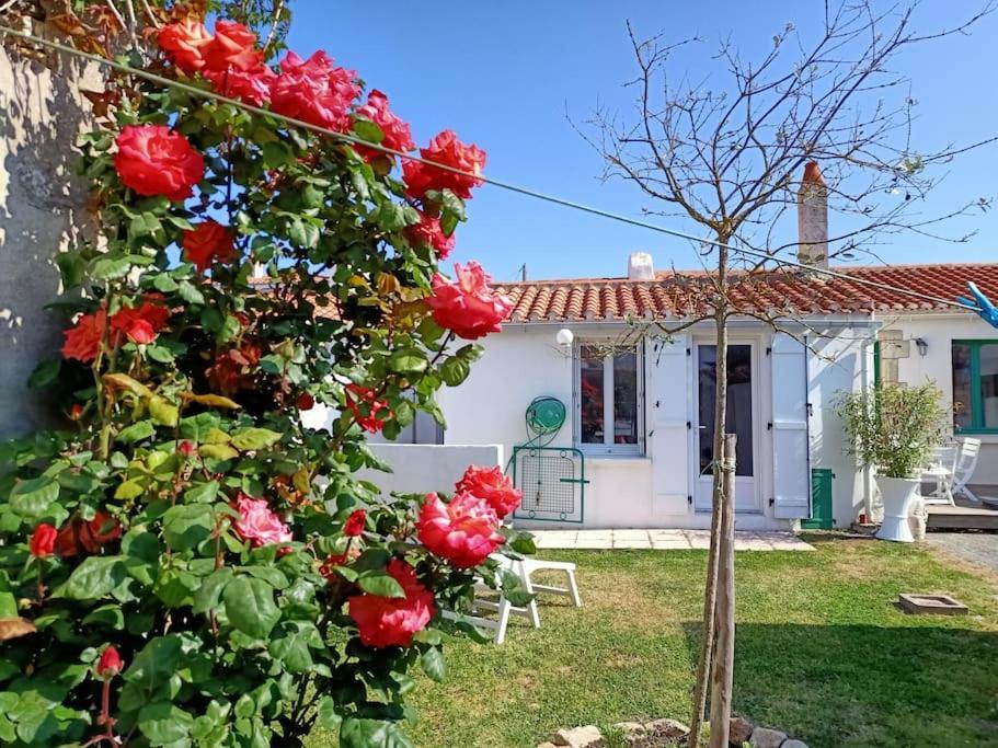 Villa La Maison Du Marin à Saint-Gilles-Croix-de-Vie Extérieur photo